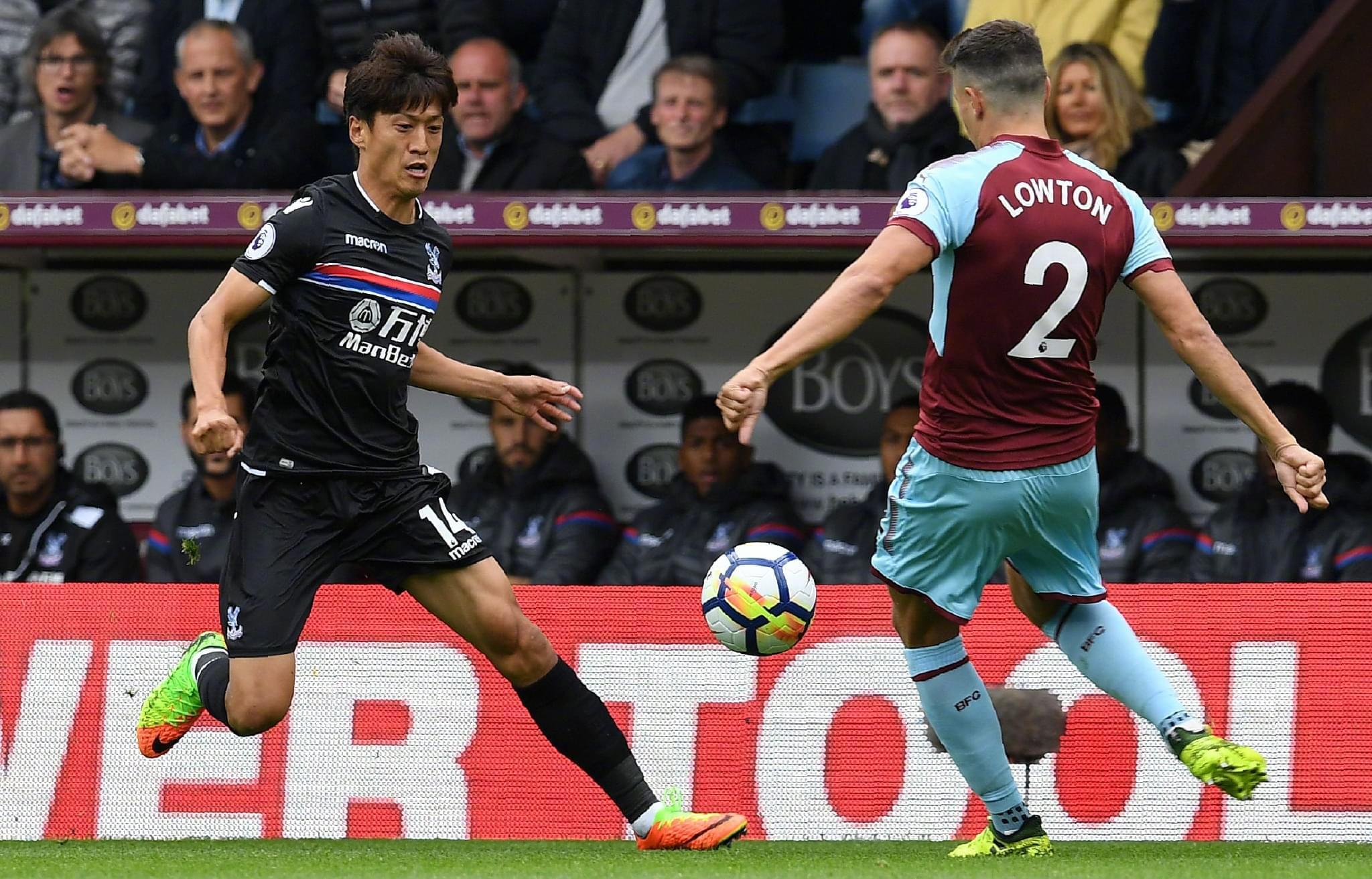 本地组织青 本地组织青